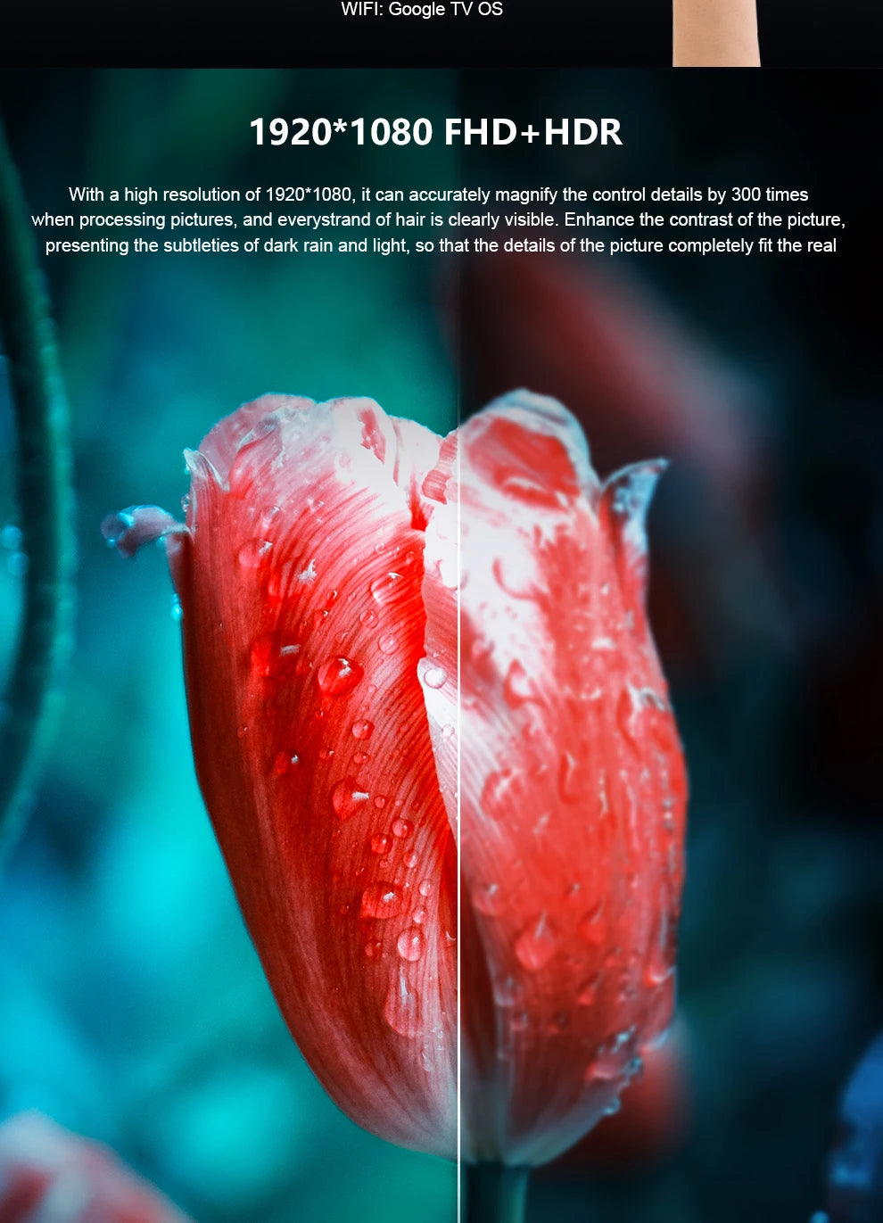 Zeuslap 18.5 inch Smart TV Portable Touch Screen Monitor with Google TV For Mini PC Laptop Phone Xbox PS4 PS5 Switch