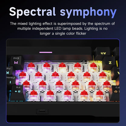 Ajazz NK61 Mechanical Wired Gaming Keyboard RGB Lighting Supports Hot-Swappable 61-Key Mechanical Wired Gaming Keyboard